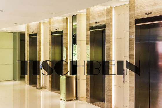 450kg 630kg panoramic glass elevator