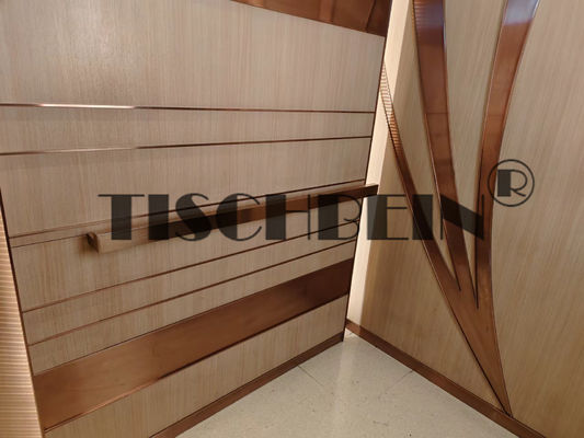 Machine Room Type 13 Persons High Speed Passenger Elevator 2.5m/s 4.0m/s For Residential Building Shopping Mall