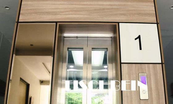 1.75m/s Traction Panoramic Elevator With Hairline St St For Hotel Building Office Shopping Mall