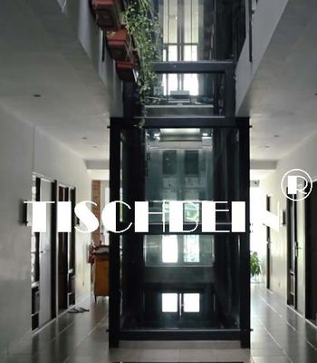 630kg 800kg 1000kg 1150kg 2.0m/S Panoramic Elevator With Hairline St. St. Finish For Hotel Residential Building