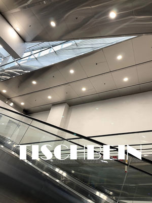 30° 35° Inclination Stainless Steel Step Hotel Escalator With Rubber Handrail For Railway Station Airport Hospital