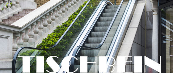 Stainless Steel Commercial Escalator