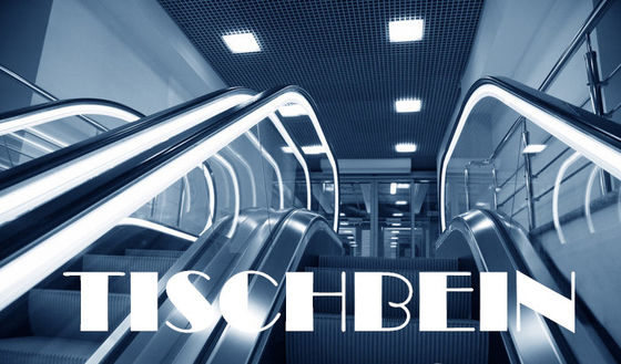 600mm 800mm 1000mm Big Load Shopping Cart Escalator With Handrail Lighting Used In Railway Station Airport Supermarket