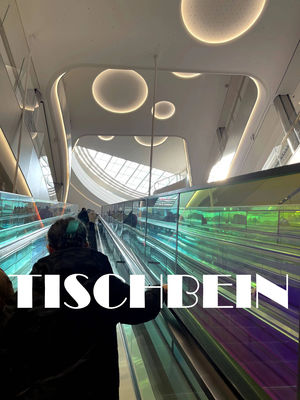 30° Outdoors Anti-corrosion Public Type Transport Escalator Hot-dip Galvanized Truss For Railway Station Airport Subway